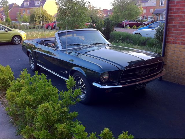 mustang2